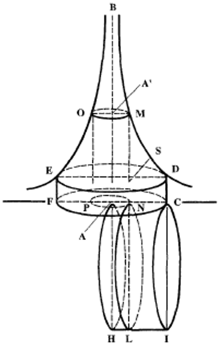 Illustration of the infinitely long solid studied by Torricelli. The solid is obtained by rotating a branch of a hyperbola around the y axis and extends to infinity. The illustration also displays a finite cylinder that equals in volume that of the infinitely long solid.