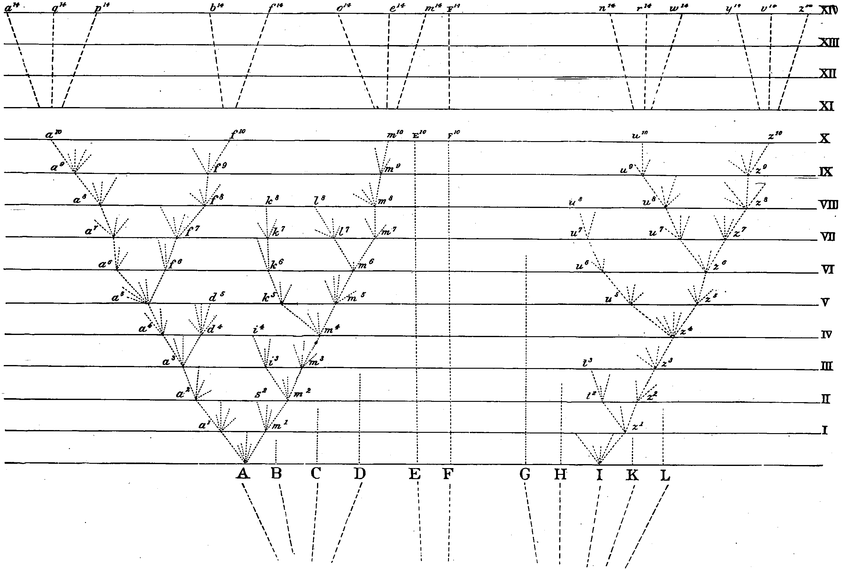 Graph labeled on the horizontal-axis with the letters A to L and on the vertical-axis with Roman numerals I to XIV. From A branch up several dashed lines; all but two stop before reaching vertical-level I; from those two branch up several more dashed lines, some stop before the next vertical-level those that don’t sprout up more lines, repeat though in some cases no line from a particular branch reaches the next vertical-level. Further description in the text following.
